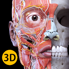 تحميل برنامج Anatomy 3D Atlas مهكر 2023 للاندرويد